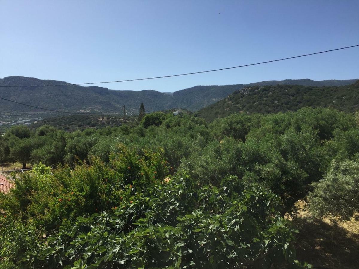 Asimina Daire Istron Dış mekan fotoğraf